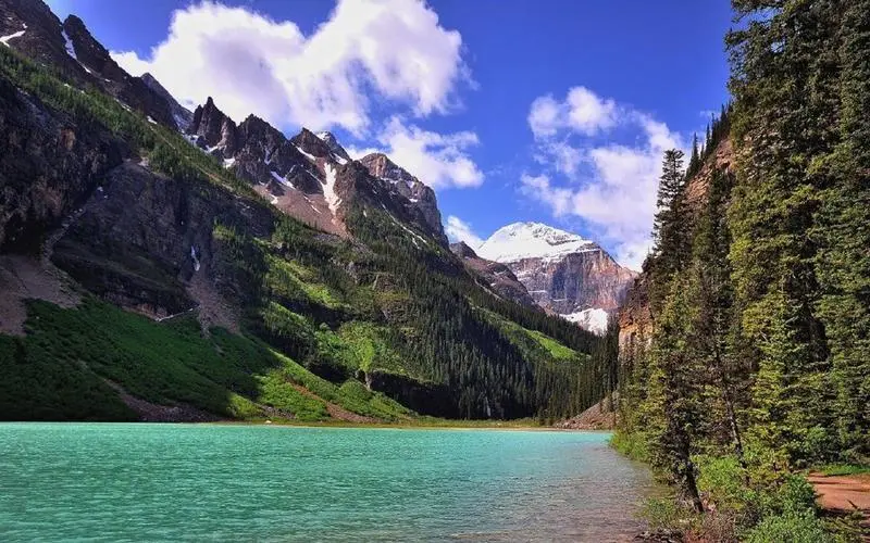 新型高端